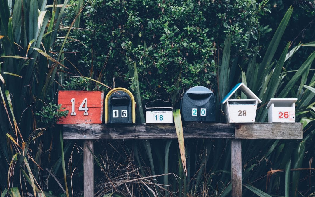 A Guide To Creating Your First Newsletter